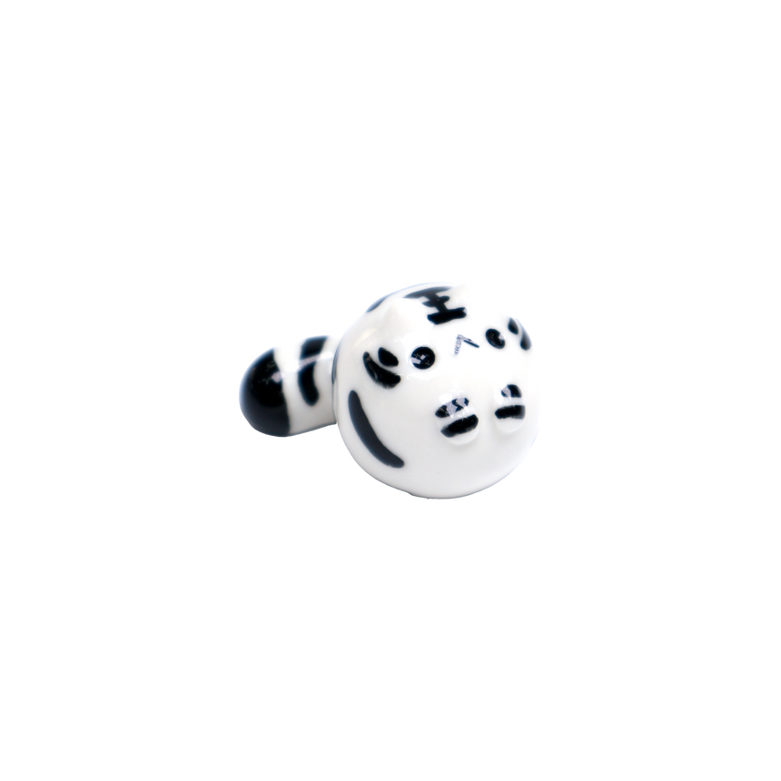 Tiger Baby Tyrrano