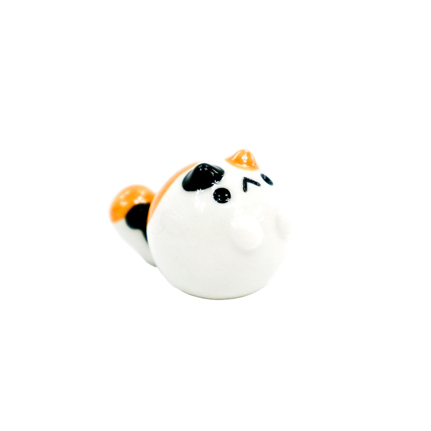 Calico Tyrrano Baby