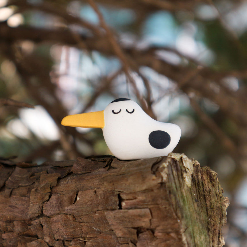 Long Beak Duck
