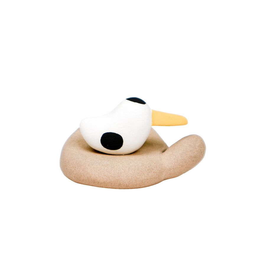 Long Beak Duck