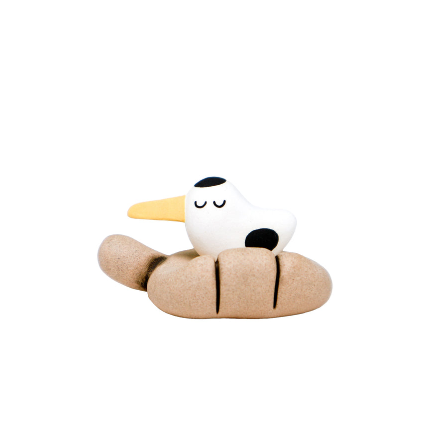 Long Beak Duck