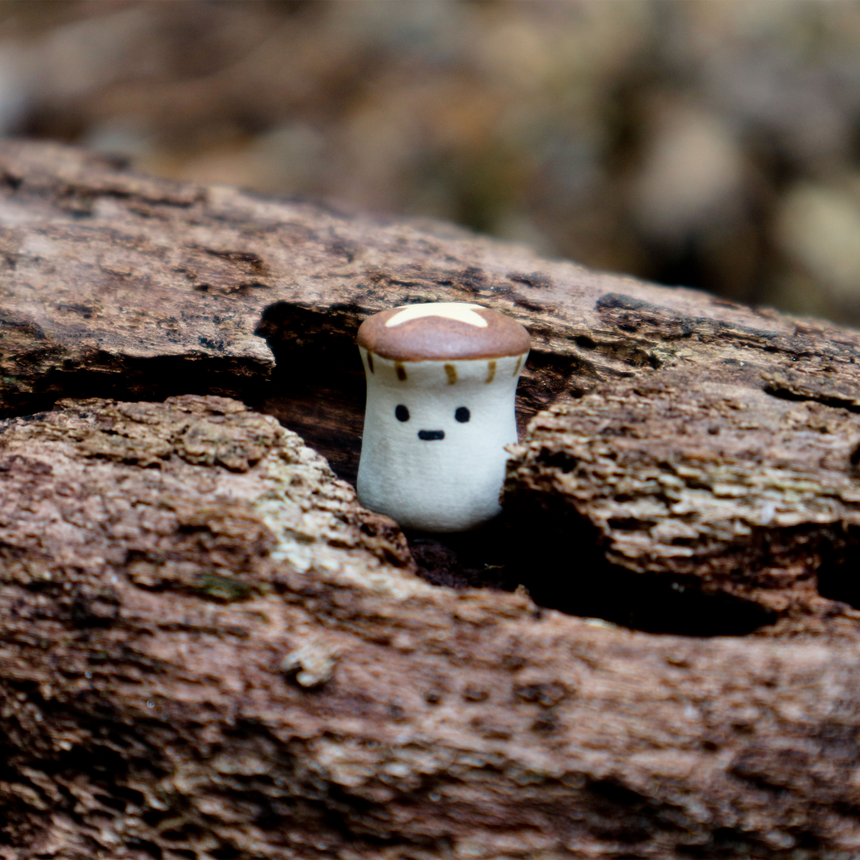 Shitake Mushroom