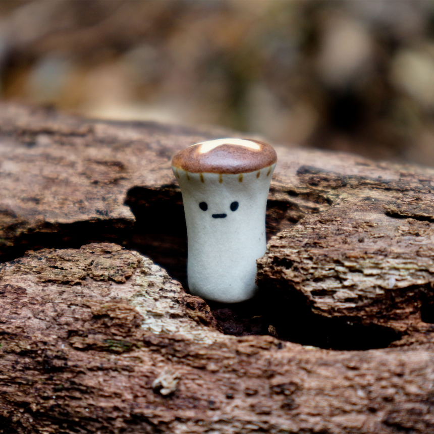 Shitake Mushroom