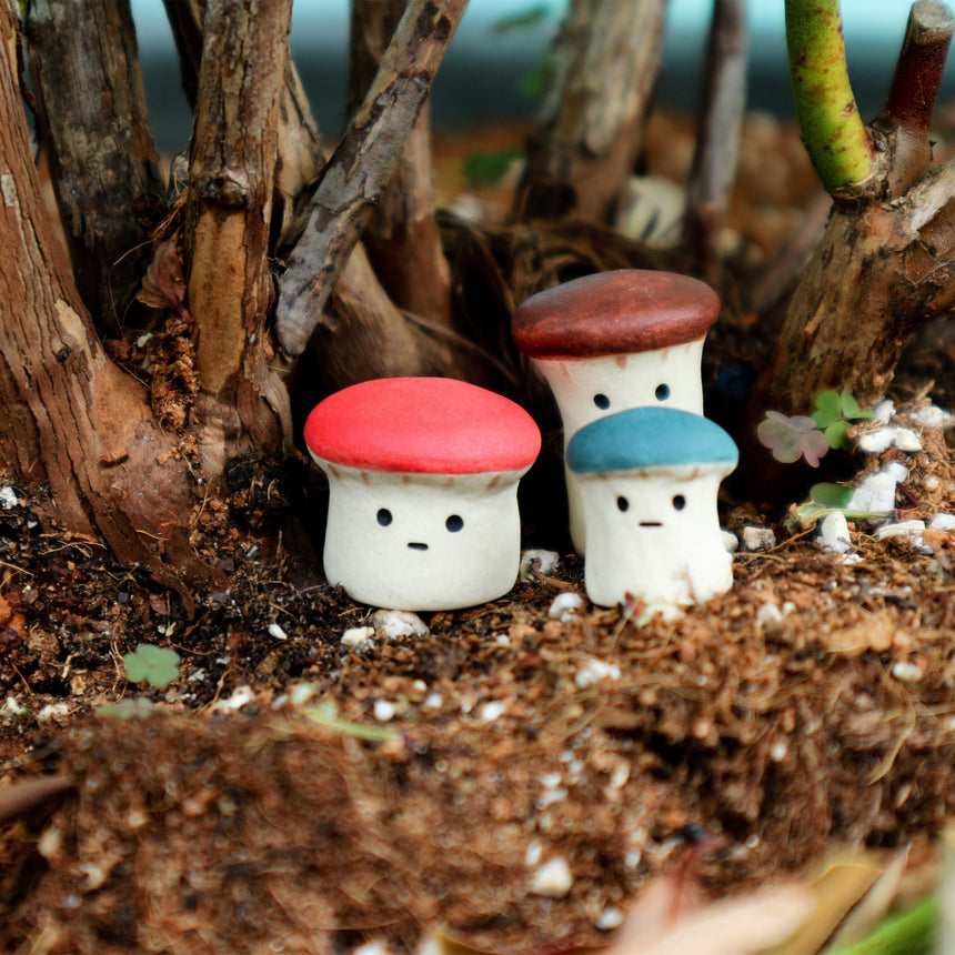 Beoseot (Mushrooms)