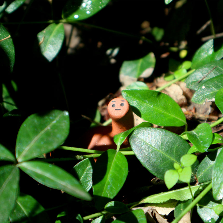 Ongsaurus
