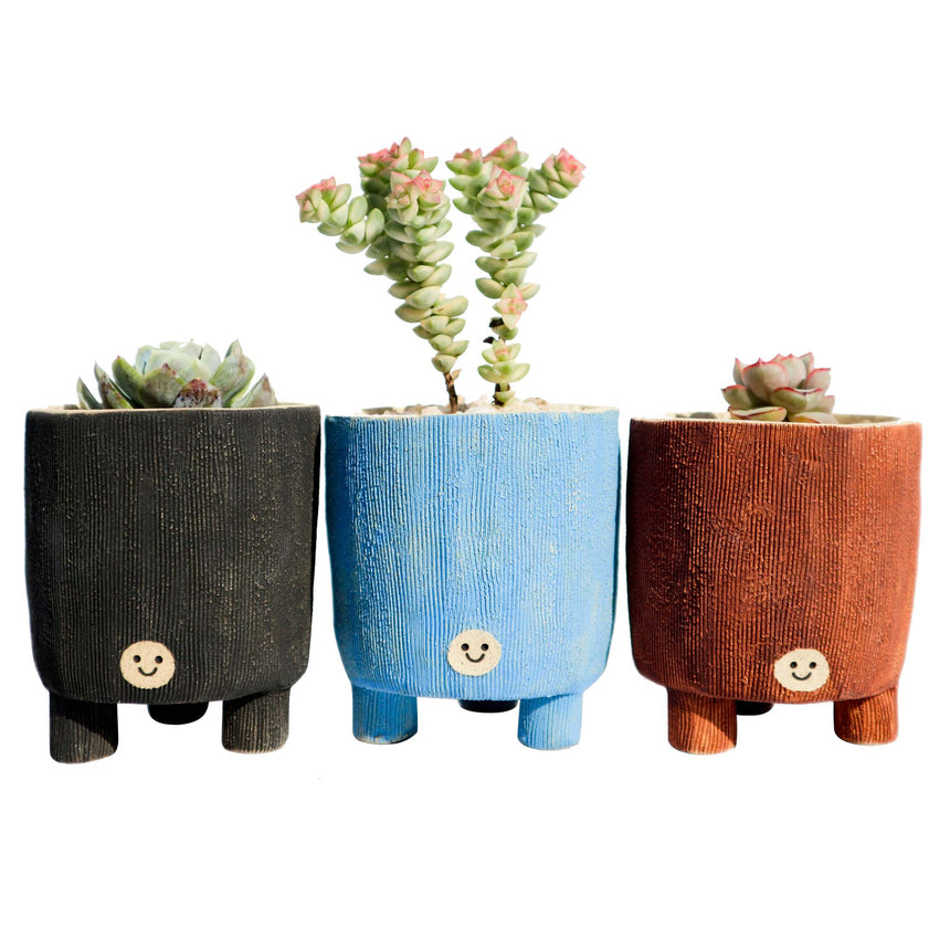 Lo-ong Pot Black