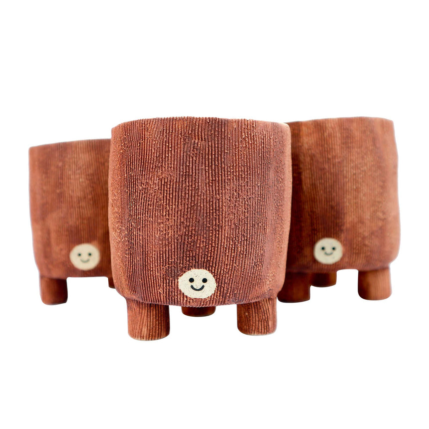 Lo-ong Pot Brown