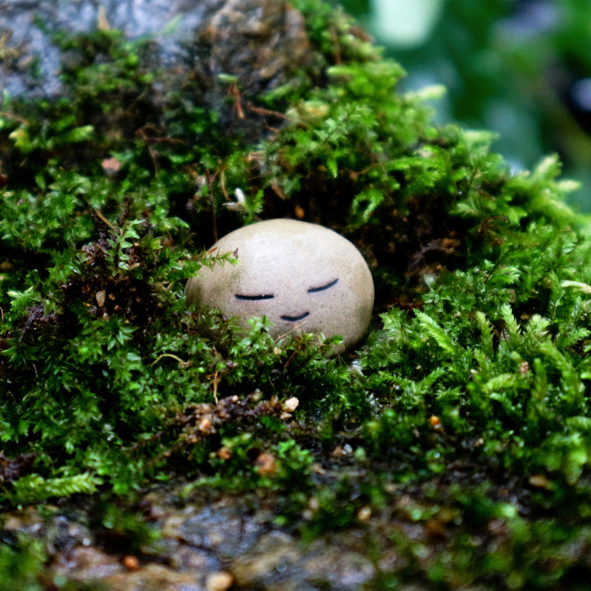 Meditating Stone