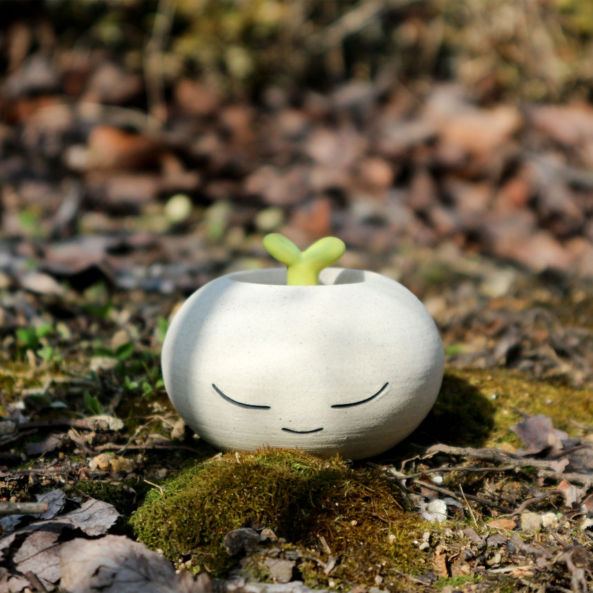 Meditating Pot