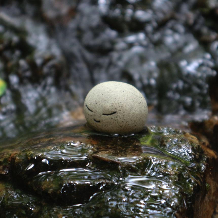 Meditating Stone